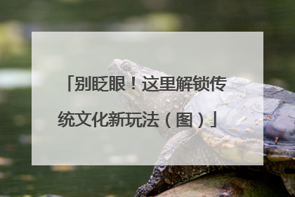别眨眼！这里解锁传统文化新玩法（图）