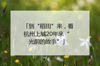 到“稻田”来，看杭州上城20年来“光阴的故事”