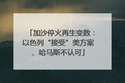 加沙停火再生变数：以色列“接受”美方案、哈马斯不认可