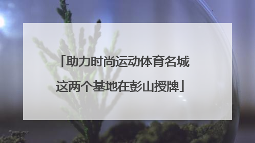 助力时尚运动体育名城 这两个基地在彭山授牌