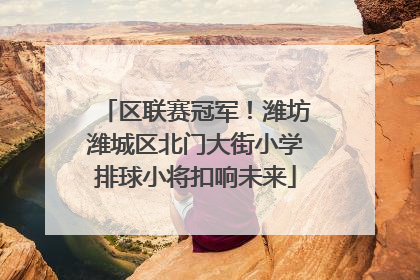 区联赛冠军！潍坊潍城区北门大街小学排球小将扣响未来