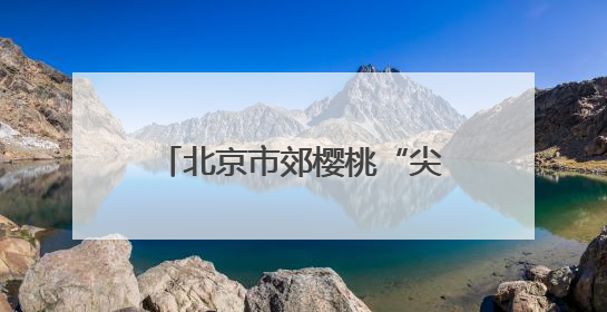 北京市郊樱桃“尖货”登录“北苑路88号”农产品市集