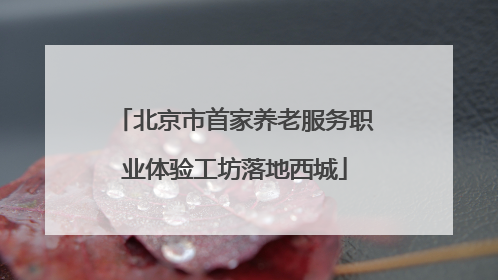 北京市首家养老服务职业体验工坊落地西城