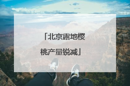 北京露地樱桃产量锐减