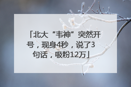 北大“韦神”突然开号，现身4秒，说了3句话，吸粉12万