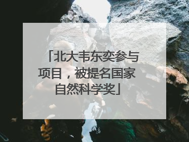 北大韦东奕参与项目，被提名国家自然科学奖