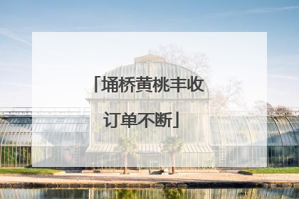 埇桥黄桃丰收 订单不断
