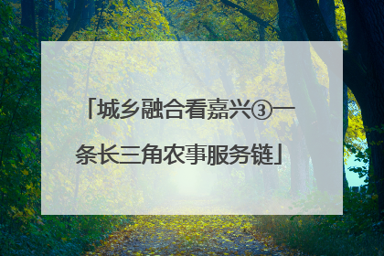 城乡融合看嘉兴③一条长三角农事服务链