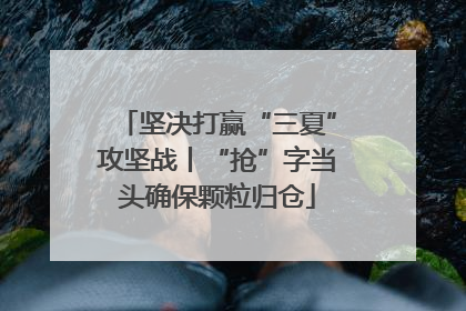 坚决打赢“三夏”攻坚战丨“抢”字当头确保颗粒归仓