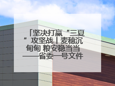 坚决打赢“三夏”攻坚战丨麦穗沉甸甸 粮安稳当当——省委一号文件系列解读①