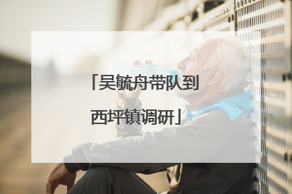 吴毓舟带队到西坪镇调研