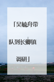吴毓舟带队到长卿镇调研
