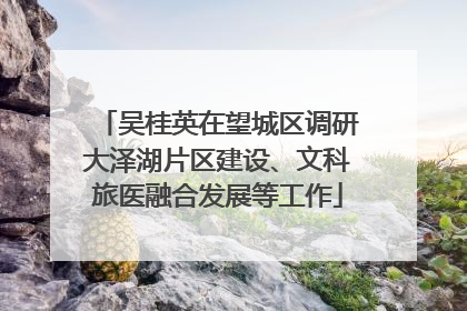 吴桂英在望城区调研大泽湖片区建设、文科旅医融合发展等工作