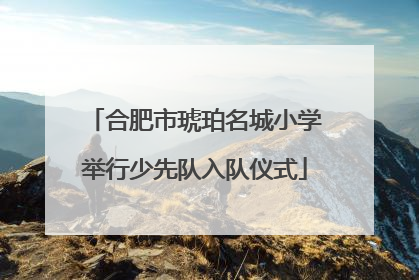 合肥市琥珀名城小学举行少先队入队仪式