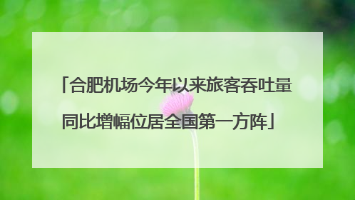 合肥机场今年以来旅客吞吐量同比增幅位居全国第一方阵