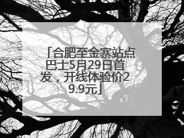 合肥至金寨站点巴士5月29日首发，开线体验价29.9元