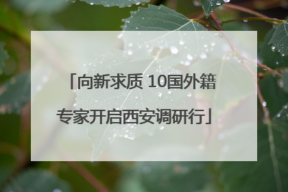 向新求质 10国外籍专家开启西安调研行