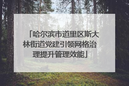 哈尔滨市道里区斯大林街道党建引领网格治理提升管理效能