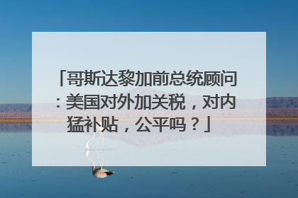 哥斯达黎加前总统顾问：美国对外加关税，对内猛补贴，公平吗？
