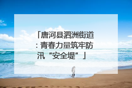 唐河县泗洲街道：青春力量筑牢防汛“安全堤”