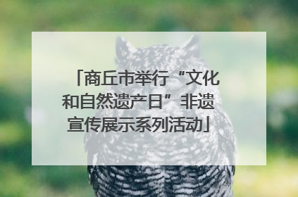商丘市举行“文化和自然遗产日”非遗宣传展示系列活动