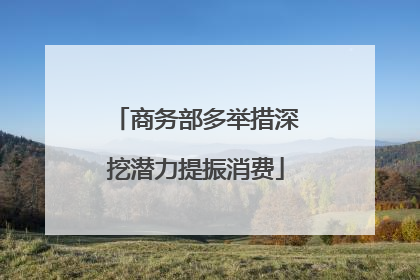 商务部多举措深挖潜力提振消费