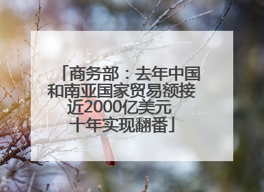 商务部：去年中国和南亚国家贸易额接近2000亿美元 十年实现翻番