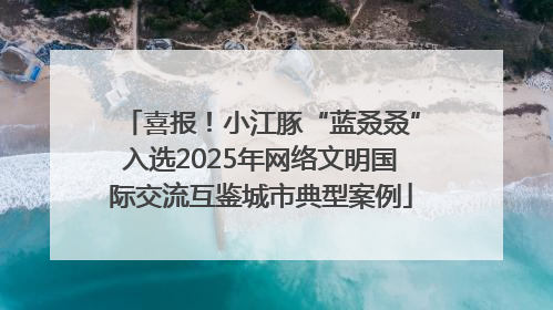 喜报！小江豚“蓝叒叒”入选2025年网络文明国际交流互鉴城市典型案例