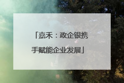嘉禾：政企银携手赋能企业发展