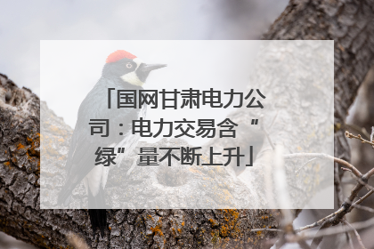 国网甘肃电力公司：电力交易含“绿”量不断上升