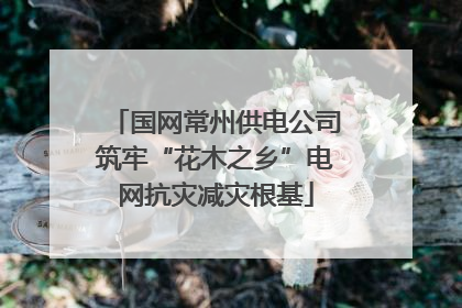 国网常州供电公司筑牢“花木之乡”电网抗灾减灾根基