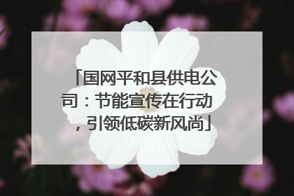国网平和县供电公司：节能宣传在行动，引领低碳新风尚