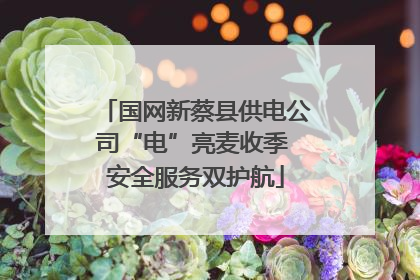 国网新蔡县供电公司“电”亮麦收季 安全服务双护航