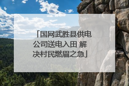 国网武胜县供电公司送电入田 解决村民燃眉之急