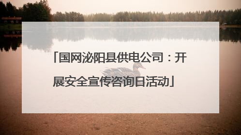 国网泌阳县供电公司：开展安全宣传咨询日活动