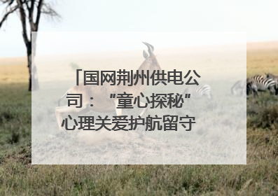 国网荆州供电公司：“童心探秘”心理关爱护航留守儿童成长