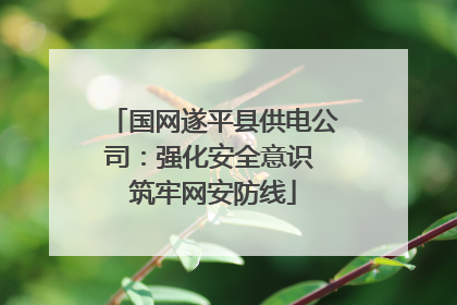 国网遂平县供电公司：强化安全意识 筑牢网安防线