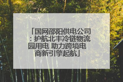 国网邵阳供电公司：护航北丰冷链物流园用电 助力跨境电商新引擎起航