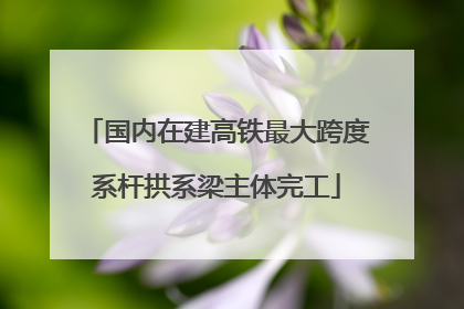 国内在建高铁最大跨度系杆拱系梁主体完工