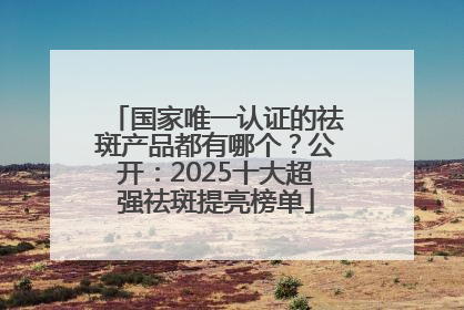国家唯一认证的祛斑产品都有哪个？公开：2025十大超强祛斑提亮榜单