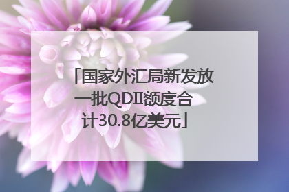 国家外汇局新发放一批QDII额度合计30.8亿美元