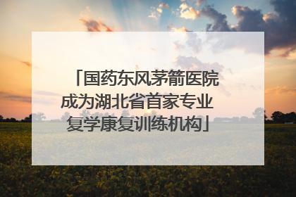 国药东风茅箭医院成为湖北省首家专业复学康复训练机构