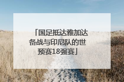 国足抵达雅加达备战与印尼队的世预赛18强赛