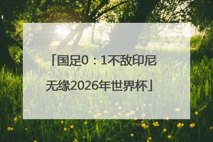 国足0：1不敌印尼 无缘2026年世界杯