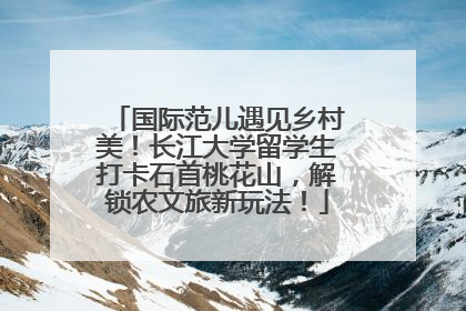 国际范儿遇见乡村美！长江大学留学生打卡石首桃花山，解锁农文旅新玩法！