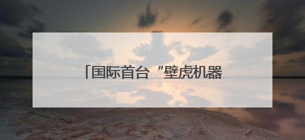 国际首台“壁虎机器人”上岗守护核安全