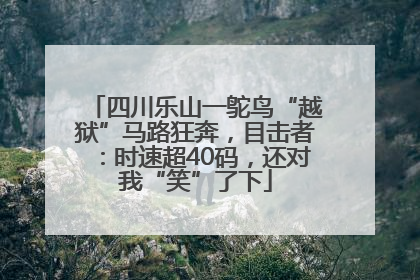 四川乐山一鸵鸟“越狱”马路狂奔，目击者：时速超40码，还对我“笑”了下