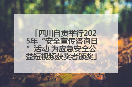 四川自贡举行2025年“安全宣传咨询日”活动 为应急安全公益短视频获奖者颁奖