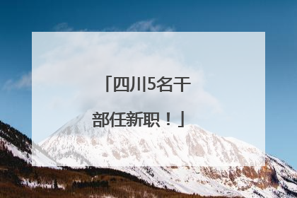 四川5名干部任新职！