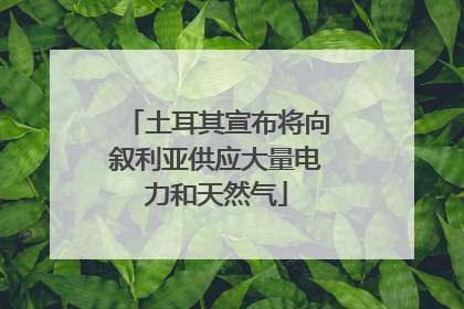 土耳其宣布将向叙利亚供应大量电力和天然气